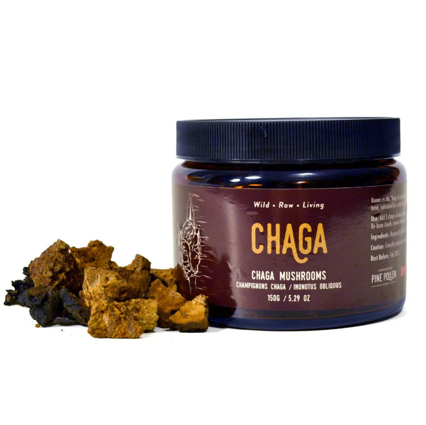Certified Organic Wild Chaga Mushroom - 150g (5.3 oz)