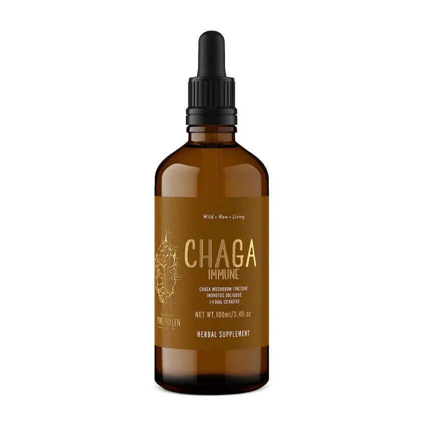 Chaga Mushroom Dual Extract| Wild Certified Organic Chaga Tincture (250mg/ml