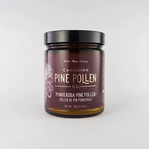 Wild Ponderosa Pine Pollen Powder - Certified Organic (70g-2.5oz)