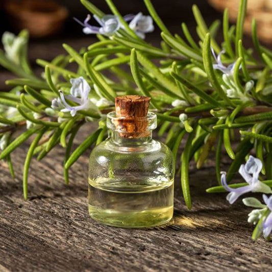 Powerful Benefits Of Rosemary Oil