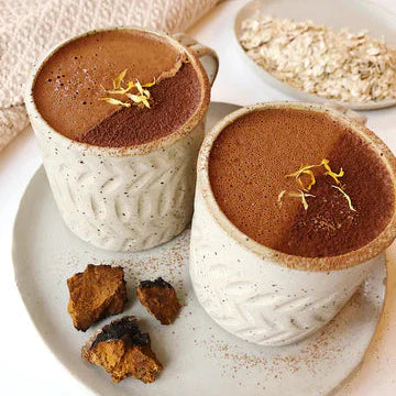 Certified Organic Wild Chaga Mushroom - 150g (5.3 oz)