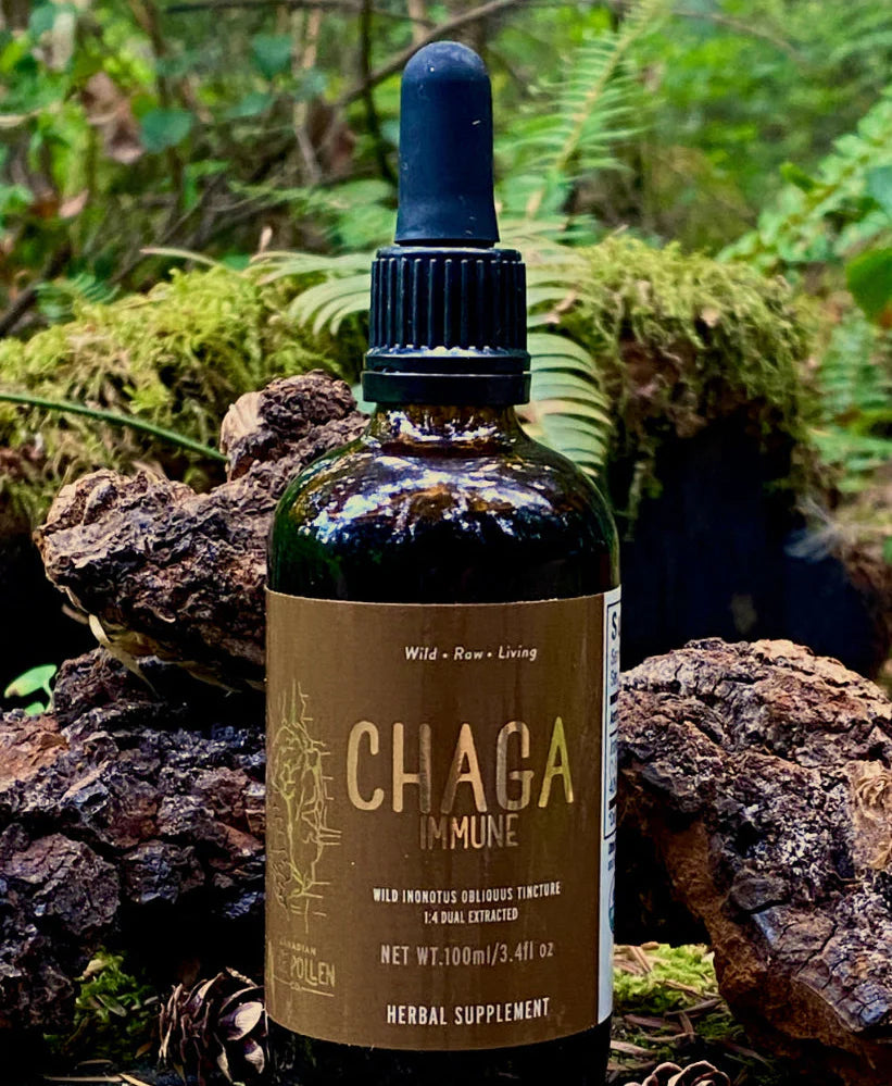 Chaga Mushroom Dual Extract| Wild Certified Organic Chaga Tincture (250mg/ml