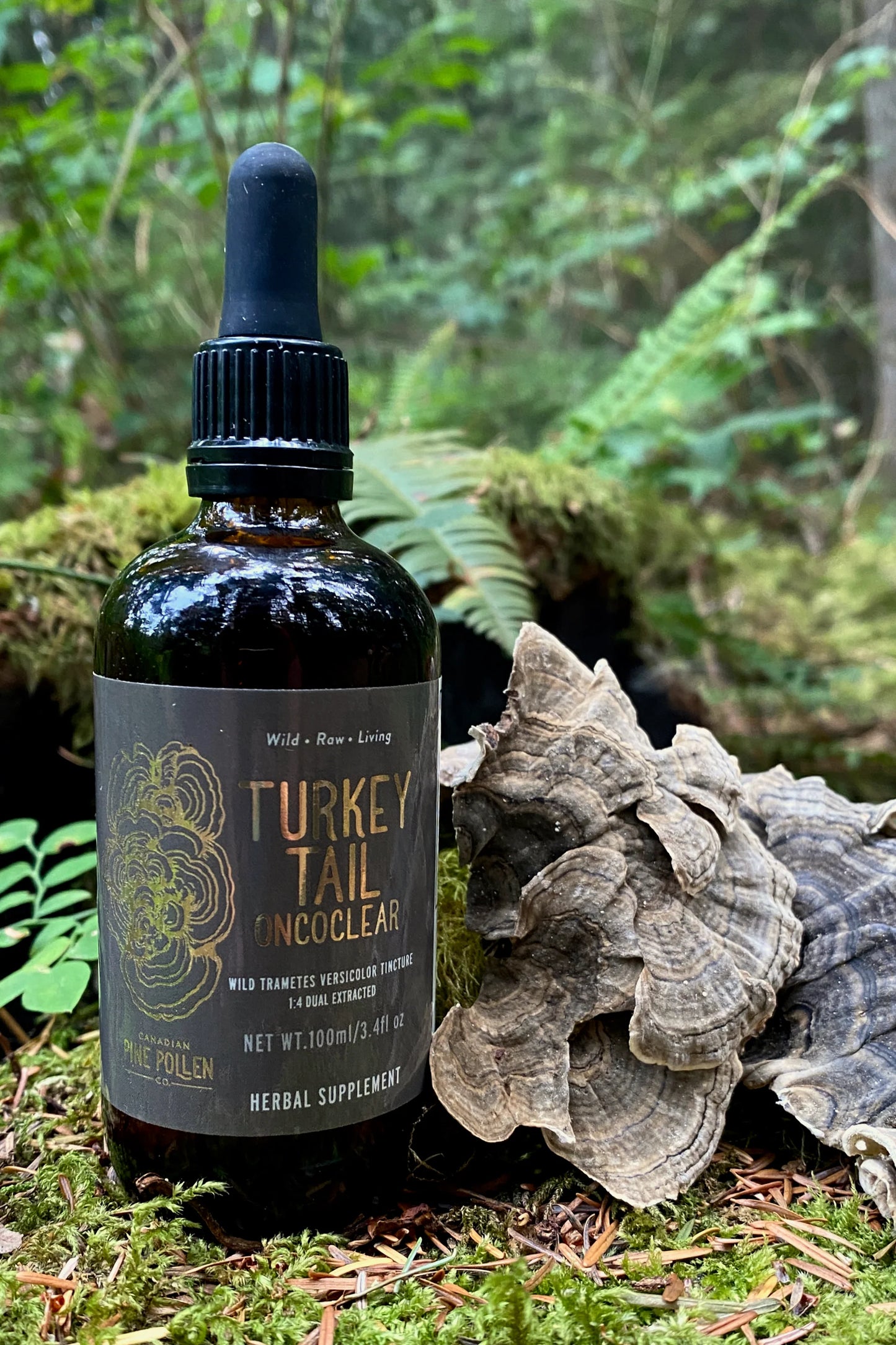 Wild Canadian Turkey Tail Tincture (250mg/ml) Certified Organic | 1:4 dual extract (3.38fl oz/100ml)