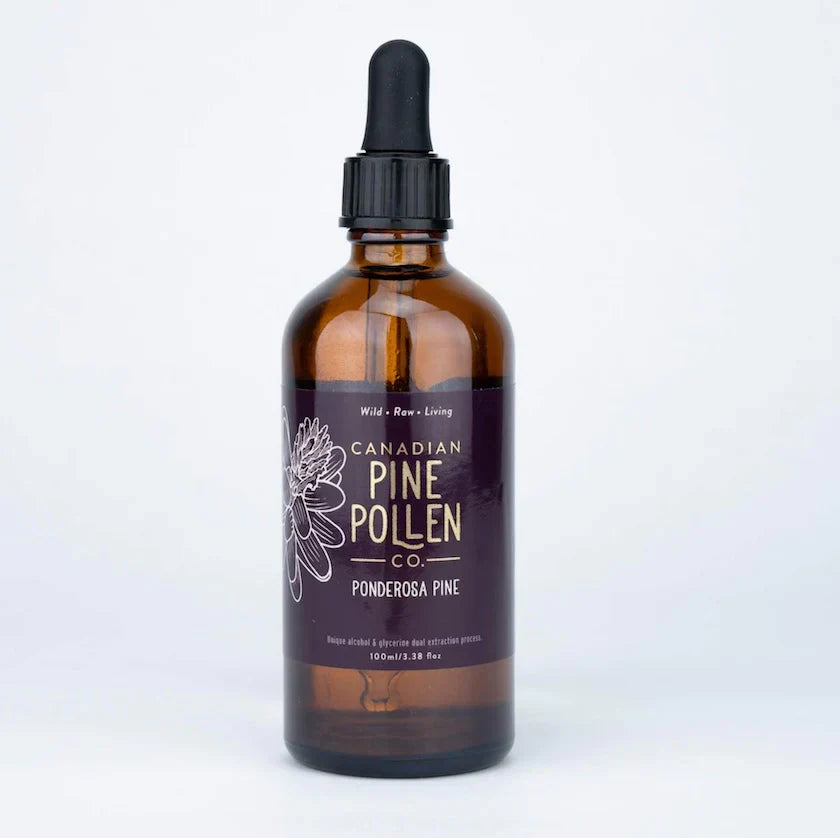 Wild Ponderosa Pine Pollen Tincture 1:6 - Certified Organic (100mL-3.4 fl oz)