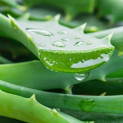Hydrating natural face cream ingredient
