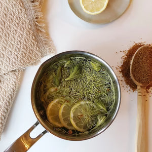 Premium Freeze Dried Spruce Tips - (28g-1 oz.)