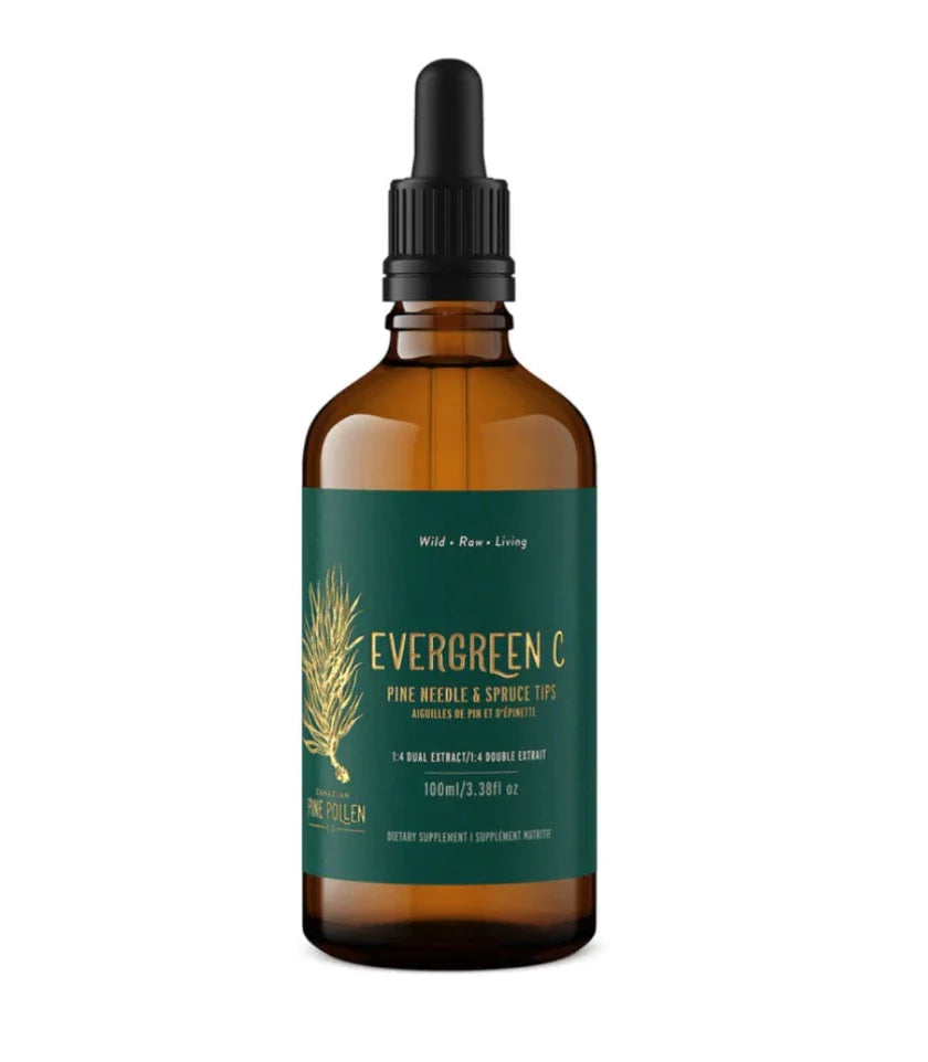 Pine Needle Tincture and Spruce Tip Tincture - Evergreen C - 1:6 (100ml/3.4 fl.oz)